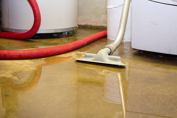 Best Flooded house restoration  in Fox Chapel, PA